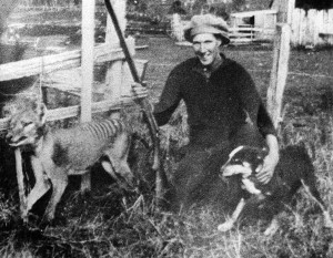 Proud Wilf Batty poses with the last wild Thylacine after he shot it
