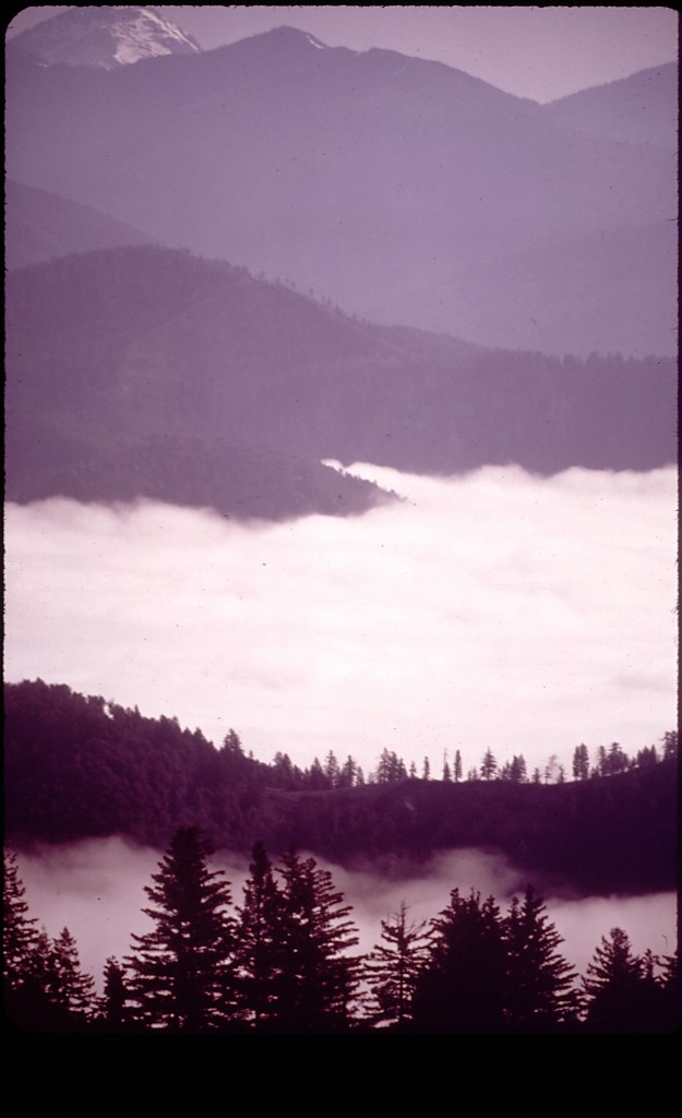 Siskiyou National Forest