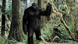 Skunk Ape, in the public domain