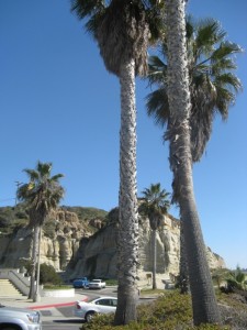 Los Angeles
