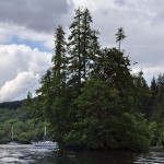Loch Ness Monster Museum Owner Arrested