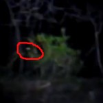 Video of Bigfoot Stalking Man and His Dogs