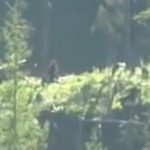 Sasquatch Spotted in Mission,BC Canada. A Video Analysis. 