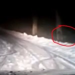 Video Analysis: Swedish Bigfoot Footage