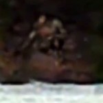 Creature Filmed in the Oregon Woods