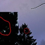 Flying Humanoid Photographed in Oregon 