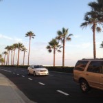 Dwarf Bigfoot Spotted in Los Angeles