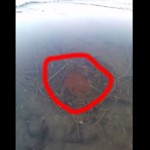 Footage Shows Strange Phenomenon in Frozen Pond