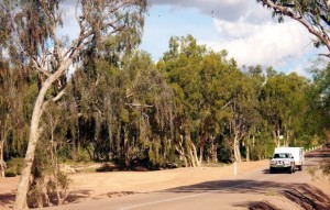 The Outback