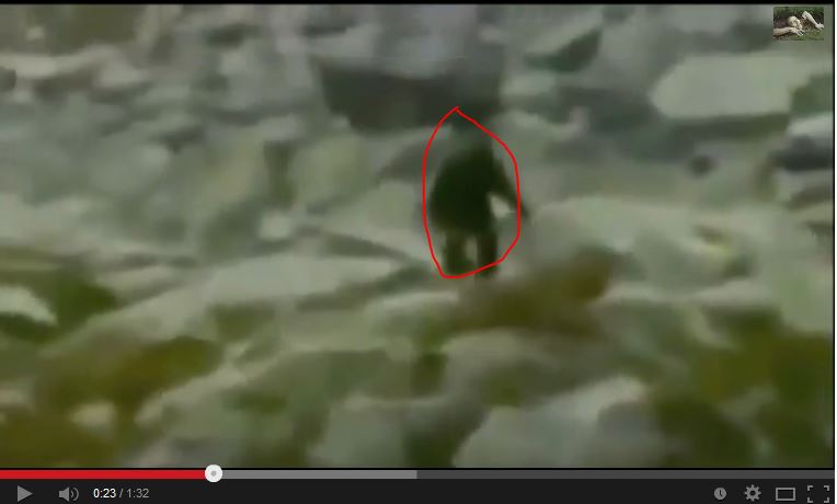 poland bigfoot