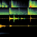 New Bigfoot Screams Recorded in Washington