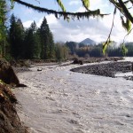 The Science Behind Bigfoot Odor