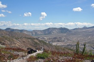 Mt. St. Helens