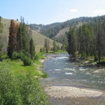 The Child Who Befriended a Bigfoot Family