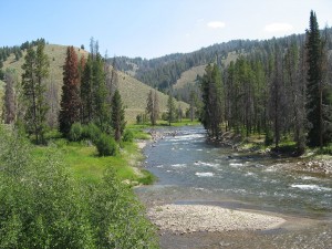 Clear water runs through the Salmon River, Idaho. Credit: Fredfish4 CC BY-SA 3.0