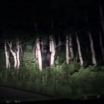 Footage Analysis: Recent Bigfoot Sighting in Utah