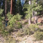 Exclusive: New Images from Lake Tahoe ‘Bigfoot’ Sighting Reveal Large Footprints, no Tree Stump