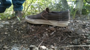 Lake Tahoe "Bigfoot" footprint