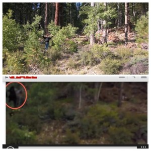 Lake Tahoe Bigfoot Sighting
