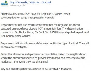 Norwalk Facebook Page 