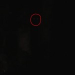 Video of ‘Sasquatch Tormenting’ Man’s Dogs, Cats Missing