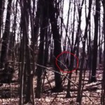 Michigan Man Shares ‘Bigfoot’ Video