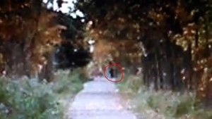 A pixelated picture shows a dark figure standing up on the trail before walking into the woods. Credit: Jim Sherman/YouTube