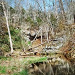 Missouri Man Claims Seeing 400 Lbs Bigfoot