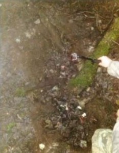 Brock and Marston study a ground hole they suspect could have been dug by the creature using a stick nearby. 
