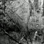 ‘Gnome Bigfoot’ Filmed in Tennessee 
