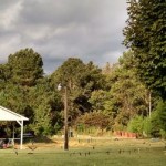 Alabama Minister Captures ‘Baby Bigfoot’ Sounds