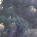 Aerial Videographer Films ‘Bigfoot’ with a Drone