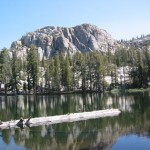 ‘I Saw Bigfoot’, says Police Officer