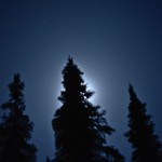 Missourian Captures Audio of ‘Sasquatch Screams’