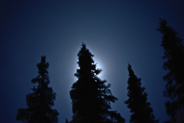 missouri bigfoot howls screams