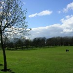 British Woman Tells ‘Bigfoot’ Close Encounter