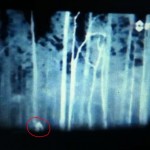 Bigfoot-Like Creature Caught on Camera in North Carolina