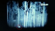 bigfoot north carolina
