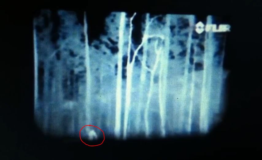 bigfoot north carolina