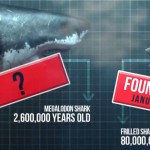 New Australian TV Show will Focus on Cryptids like Yowie, Thylacine