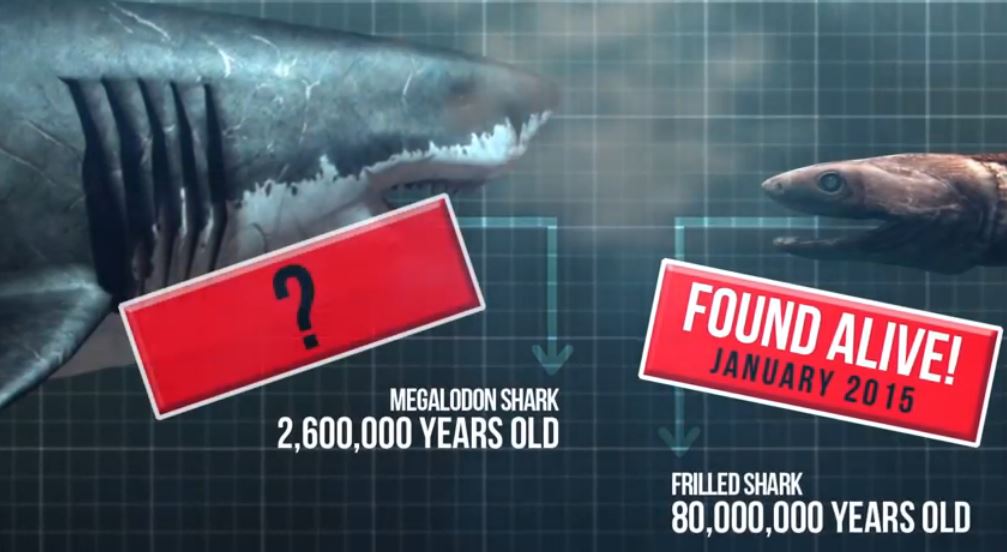 megalodon