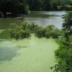 Religious Man Suspects Bigfoot is Living in Texas Creek