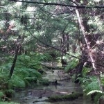 Michigan Man Photographs ‘Alien’
