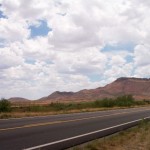 Two People Spot Dinosaur Bird in Nevada