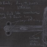 Canadian Encounters Flying Snake-Like Creature and Humanoid-Shaped UFOs, Shares Photographs