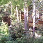 ‘Dogman’ or ‘Bigfoot’ Captured on Video in Kentucky