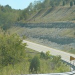 Pink ‘Pig-Human Hybrid’ Spotted in Kentucky