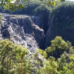 Australian Captures Images of ‘Bigfoot’