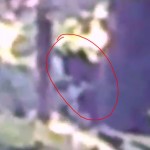 Man Films ‘Bigfoot’ in Kentucky Woods