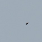 Canadian Photographs Disk-Shaped UFO in Ontario